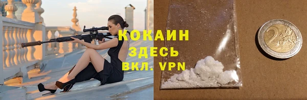 шишки Верхний Тагил