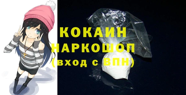 шишки Верхний Тагил