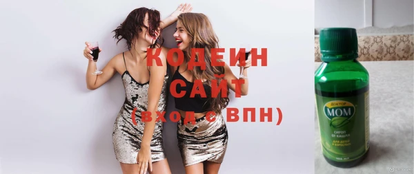 шишки Верхний Тагил